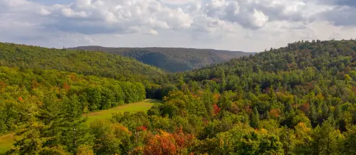 End-of-Life Massage Therapy Benefits - Better Place Forests