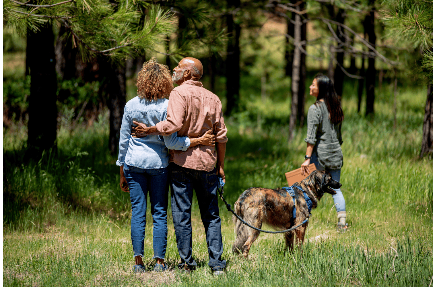 What You Need to Know About Spreading Your Pet’s Ashes in a Memorial Forest