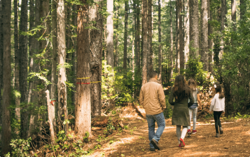 a family walks through the better place forests point arena memorial forest
