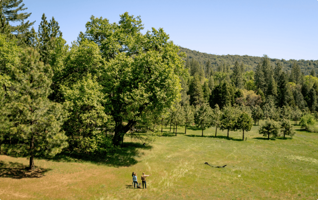 Better Place Forests Yosemite Gateway memorial forest.