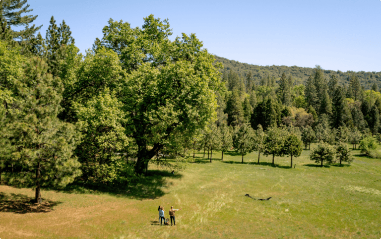 Better Place Forests Yosemite Gateway memorial forest.