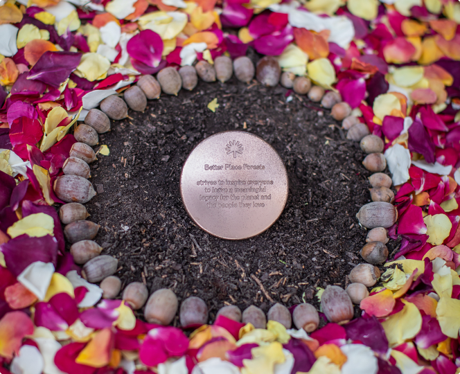 A vibrant mandala made of found objects like flowers and leaves, symbolizing remembrance and beauty to memorialize a loved one.