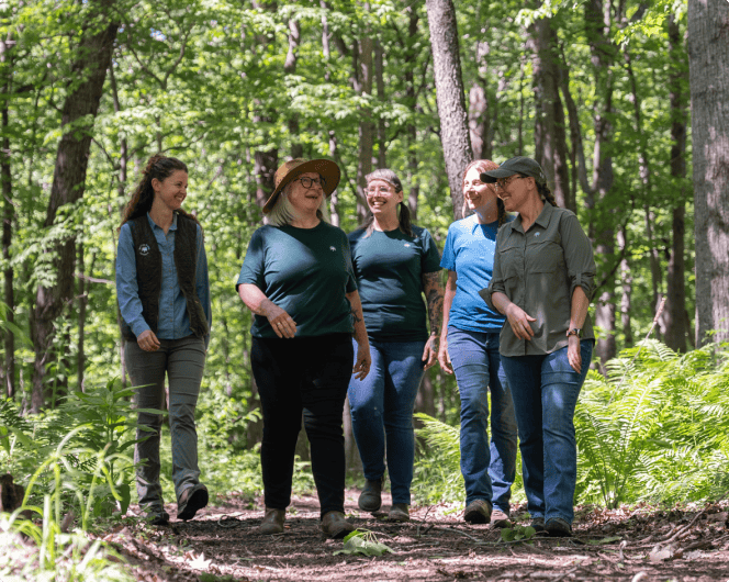 A Day in the Life With a Forest Guide at Better Place Forests